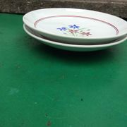 Duo de plats vintage