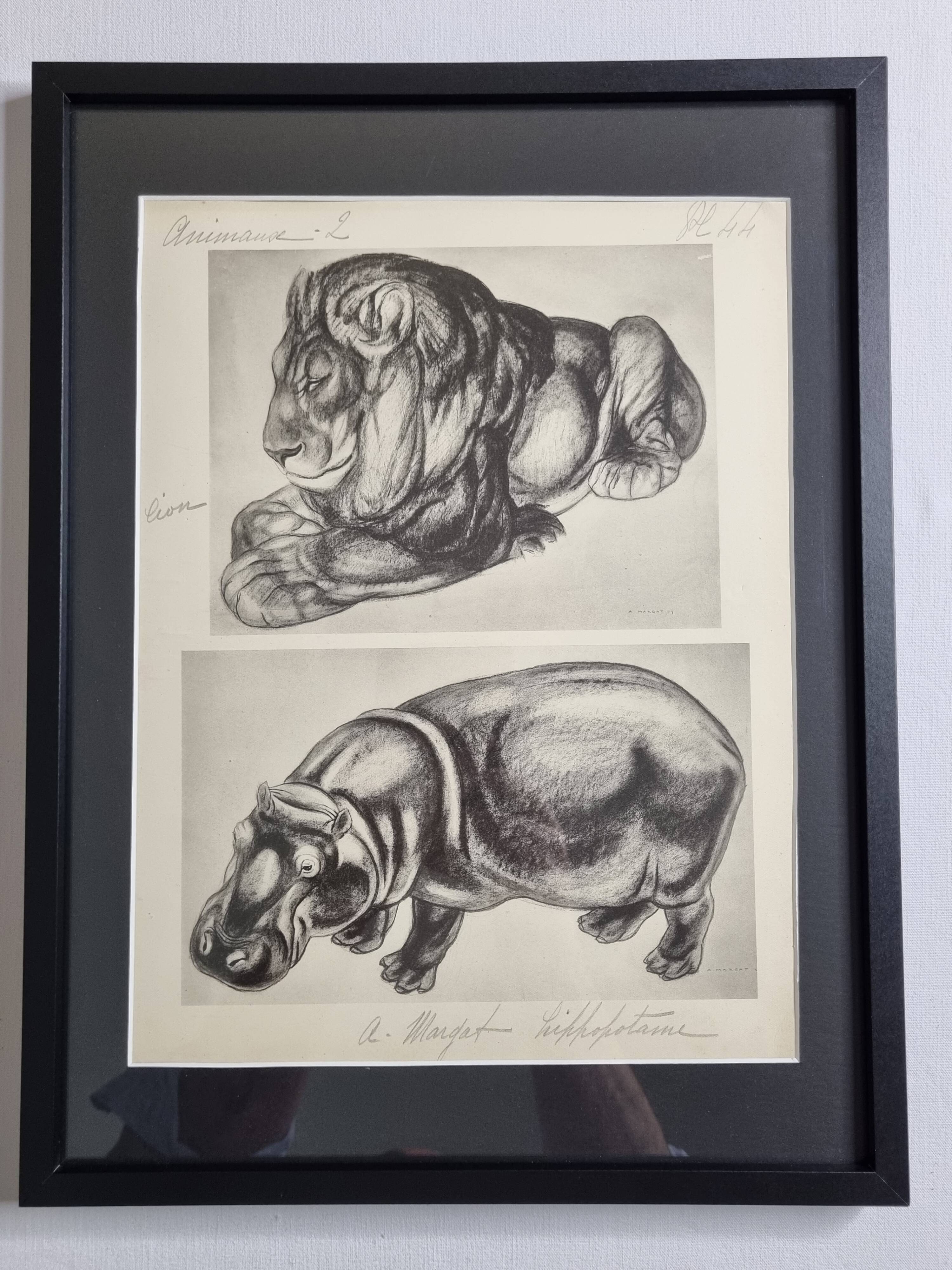 Illustrated plate, Studies of a lion and a hippopotamus, signed A. Margat, 1930