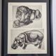 Illustrated plate, Studies of a lion and a hippopotamus, signed A. Margat, 1930