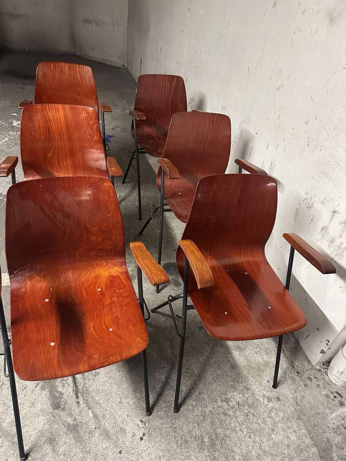 Set of 6 Airborne chairs in moulded plywood, 1950s.