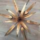 Golden leaf chandelier