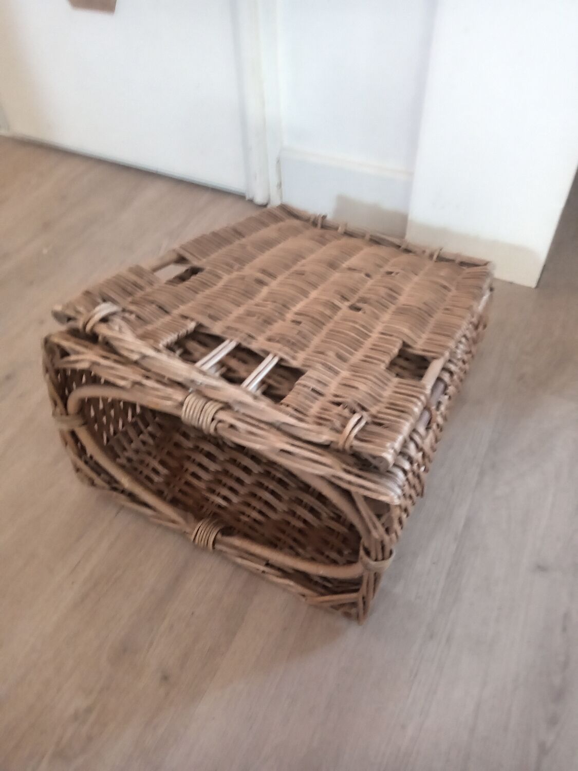 Vintage rattan beach chair