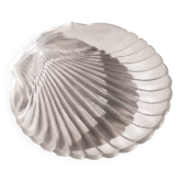 Coupelle coquille St-Jacques en verre, Arcuisine France