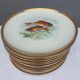Set 12 plates porcelain fish edge laurel gold Bernardaud