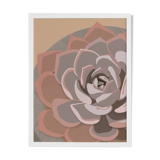 Illustration "Succulent #2" by Noums Atelier