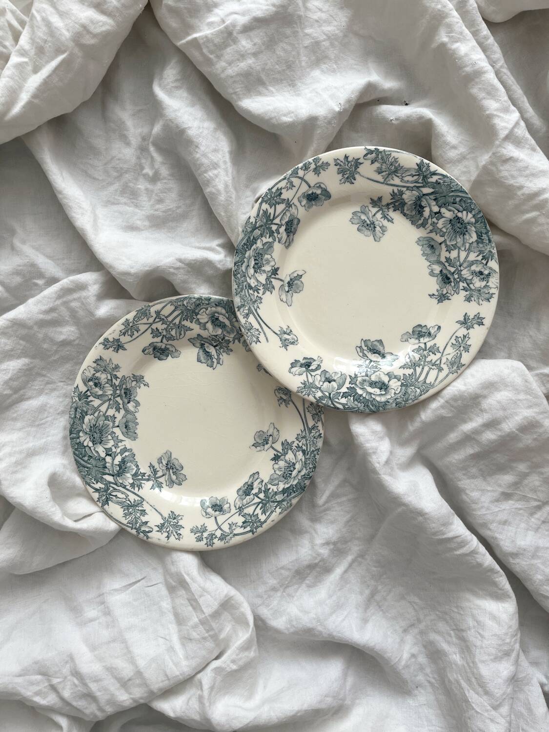 2 Gien "Anemones" ironstone dessert plates