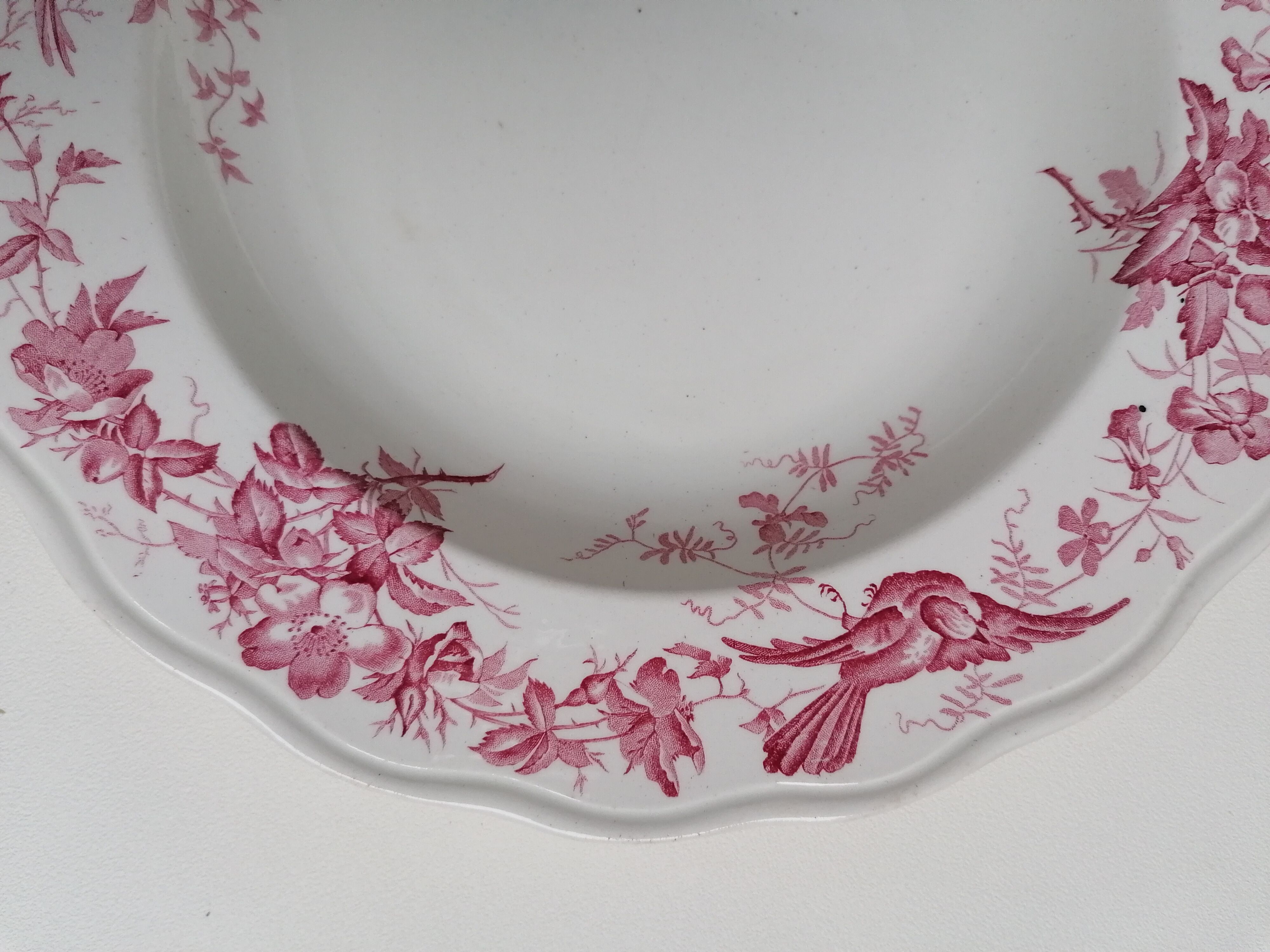 6 hollow plates English earthenware Cauldon England from the great depot E. Bourgeois
