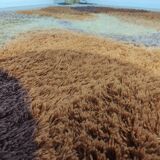 large carpet Desso Space age 200x300cm, Holland 1970s