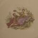 Antique porcelain plates