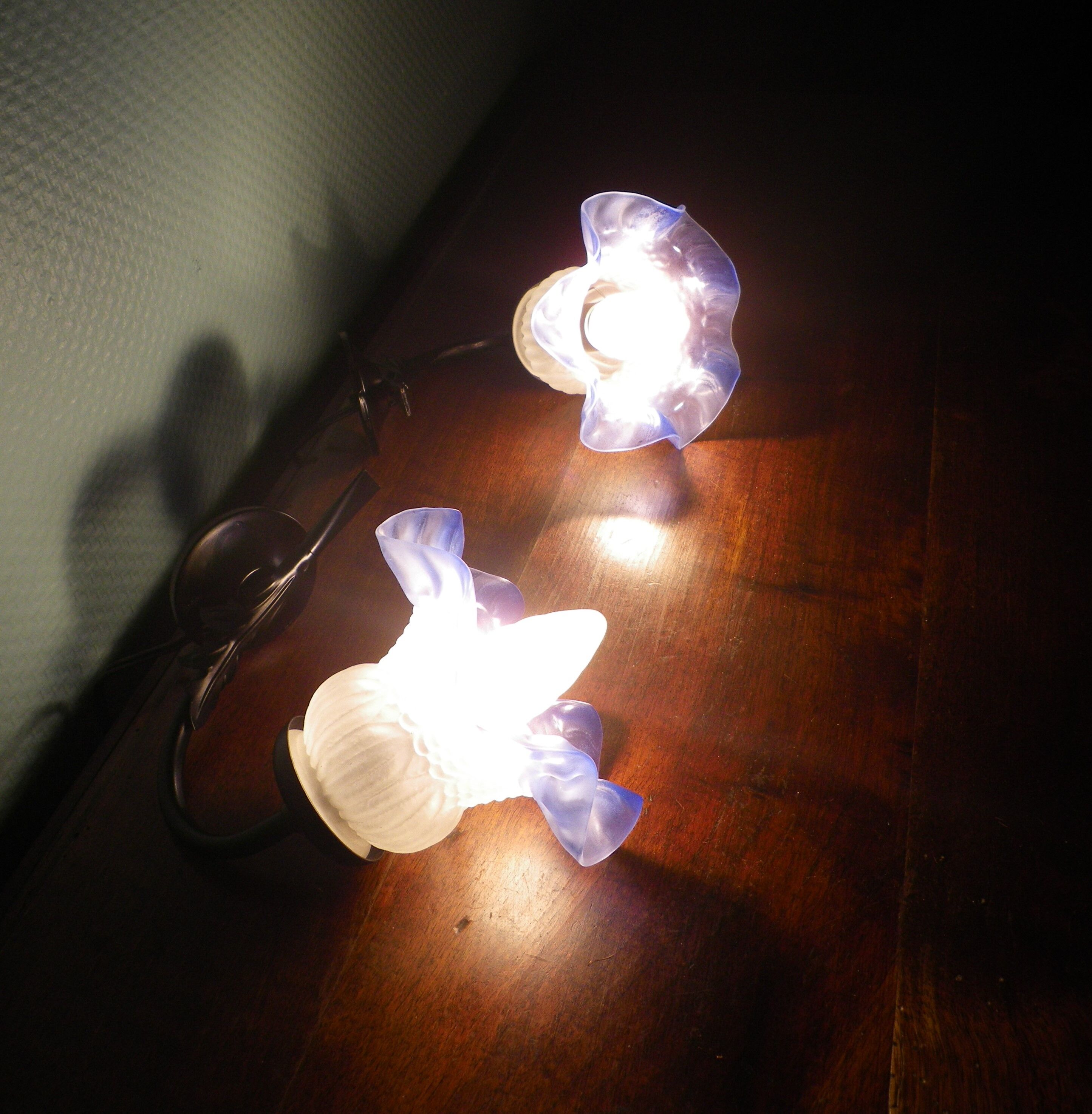 Wall sconces with opalines in the shape of corollas and black metal support