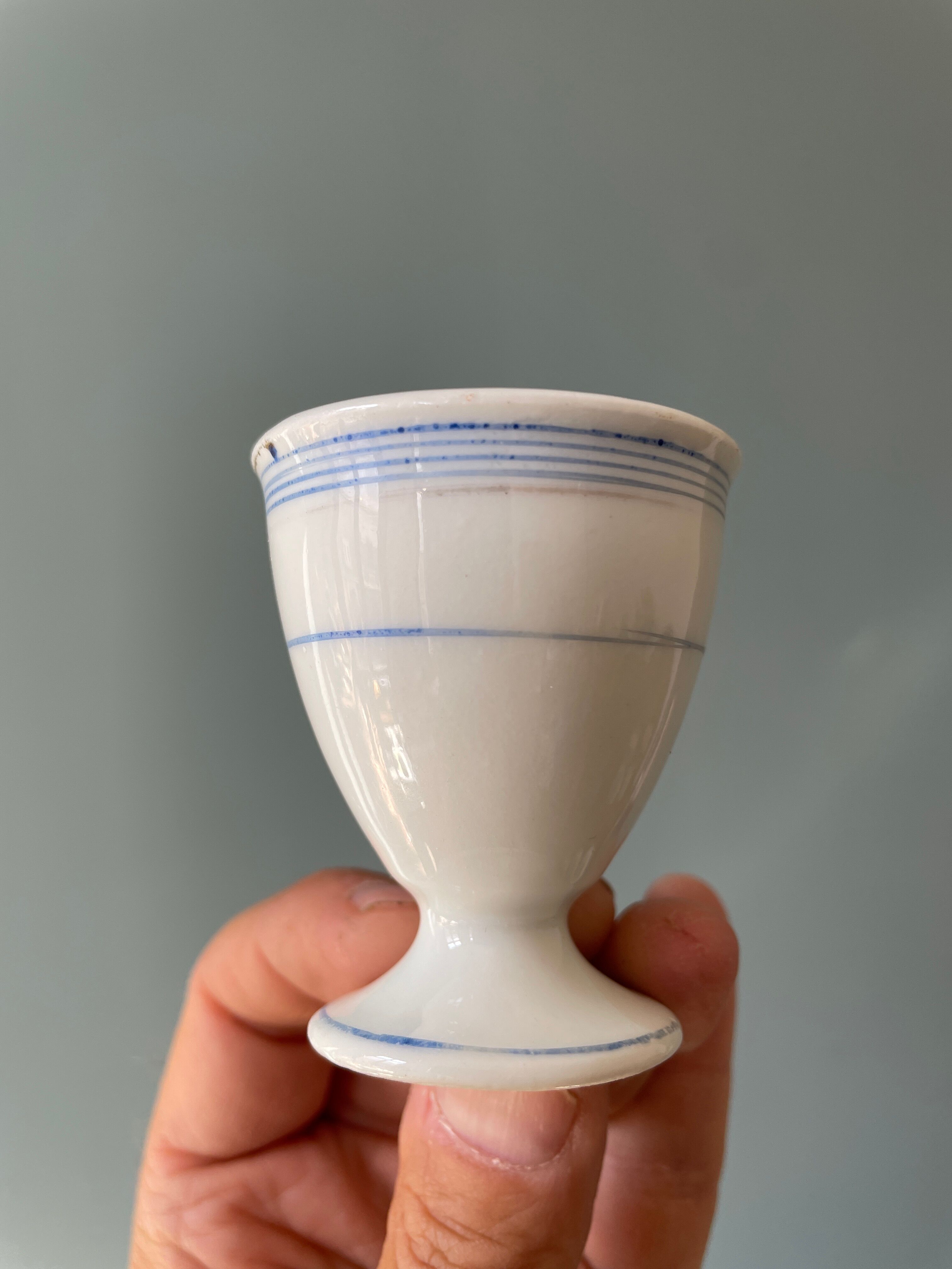 Set of 13 old standing cockroaches