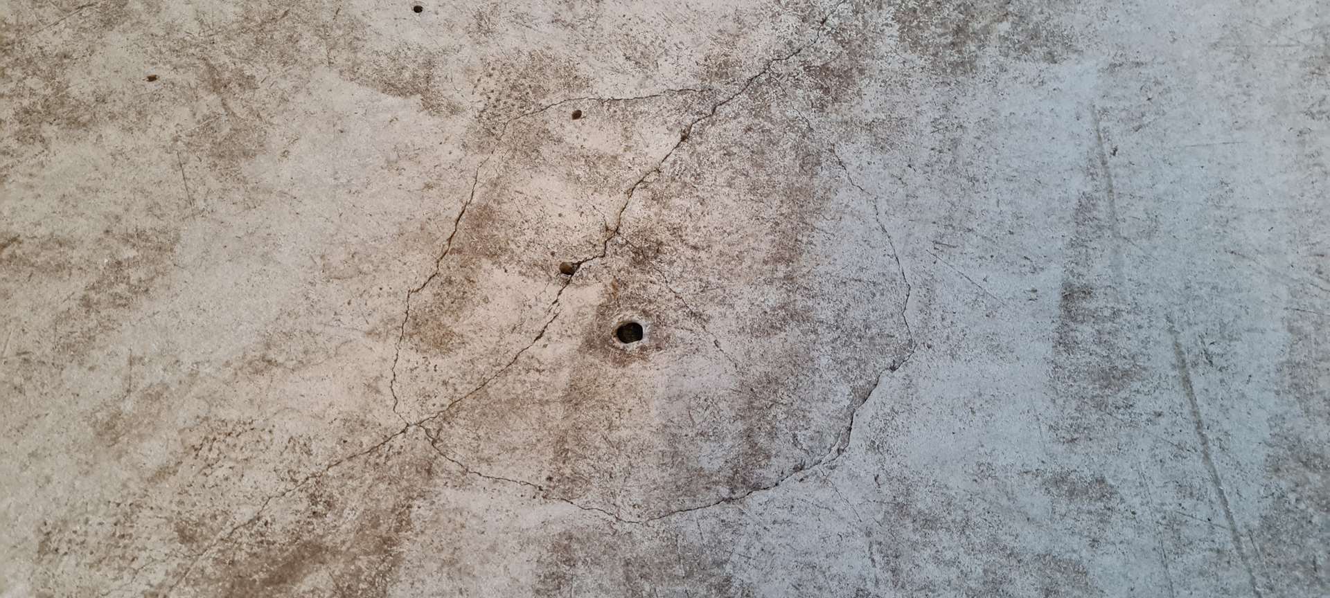 Vintage planter René Pechère - 150cm