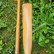 Pair of wooden oars