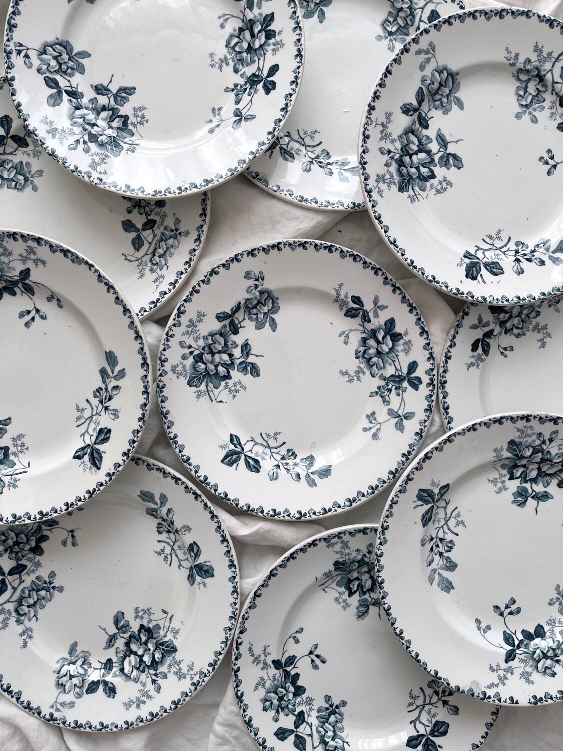 10 assiettes plates en terre de fer « Acacia » Moulin des Loups et Hamage