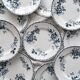10 assiettes plates en terre de fer « Acacia » Moulin des Loups et Hamage