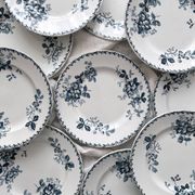 10 flat plates in iron earth “Acacia” Moulin des Loups and Hamage