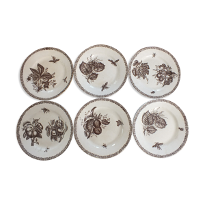 6 assiettes plates choisy