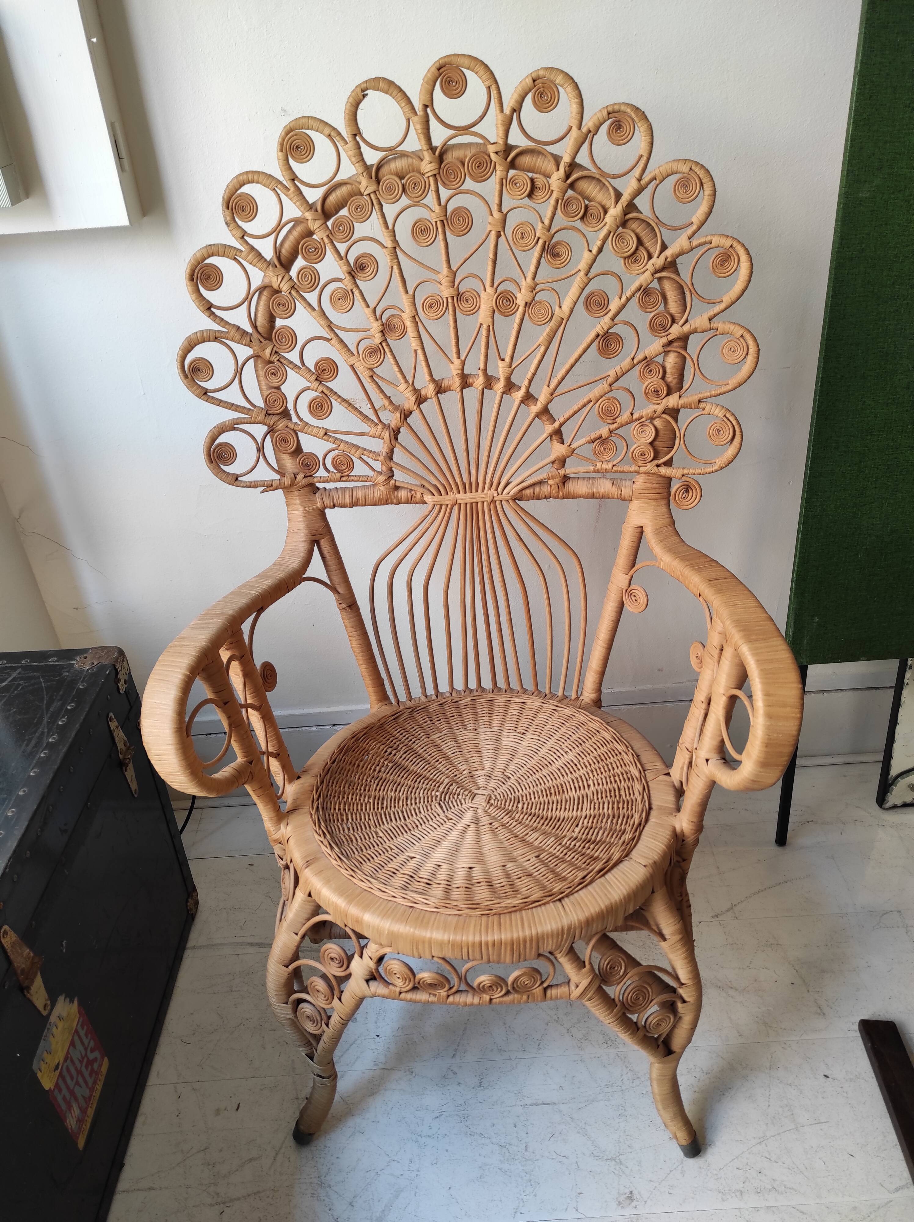 Peacock Chair
