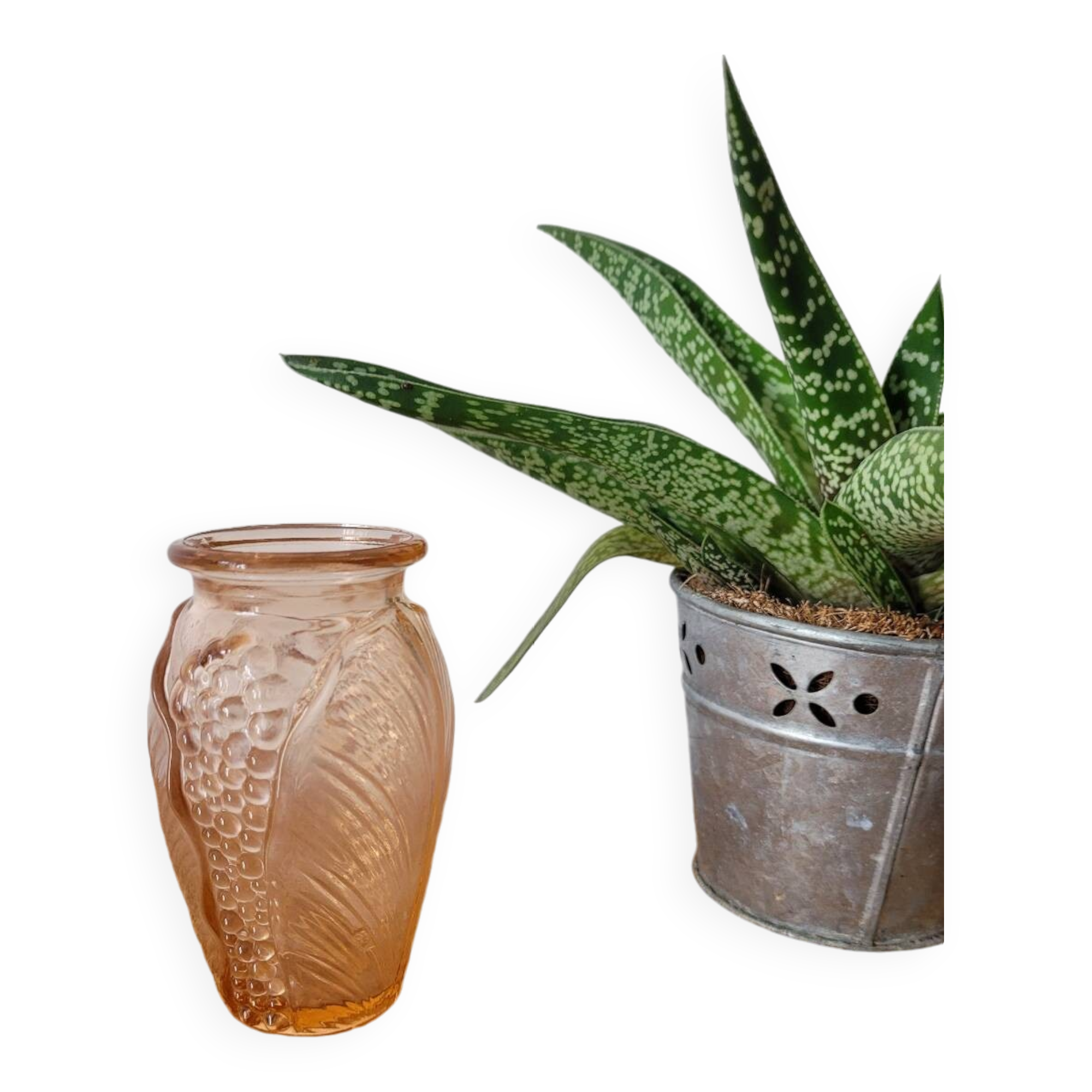 Small pink bulb vase