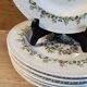 6 Villeroy & Boch Trianon pattern porcelain soup plates