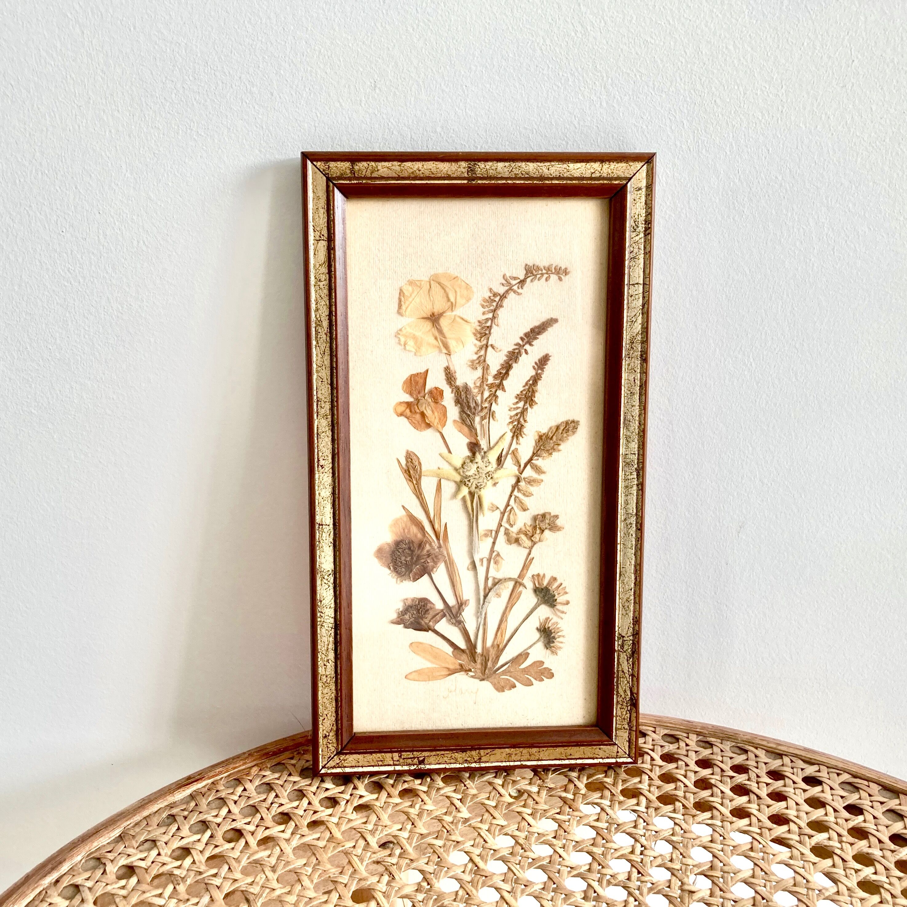 Botanical herbarium framed