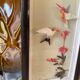 Bird painting