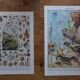 Lot of 2 lithographs on oceanography and molluscs