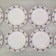 Digoin Sarreguemines earthenware plates Vintage Salies model