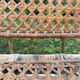 Rattan garden furniture