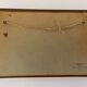 Boite ancienne d’entomologie aux papillons et insectes