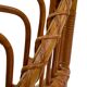 Tripod Rattan easy chair by Dirk van Sliedregt Rohe Noordwolde 1960 in the Netherlands