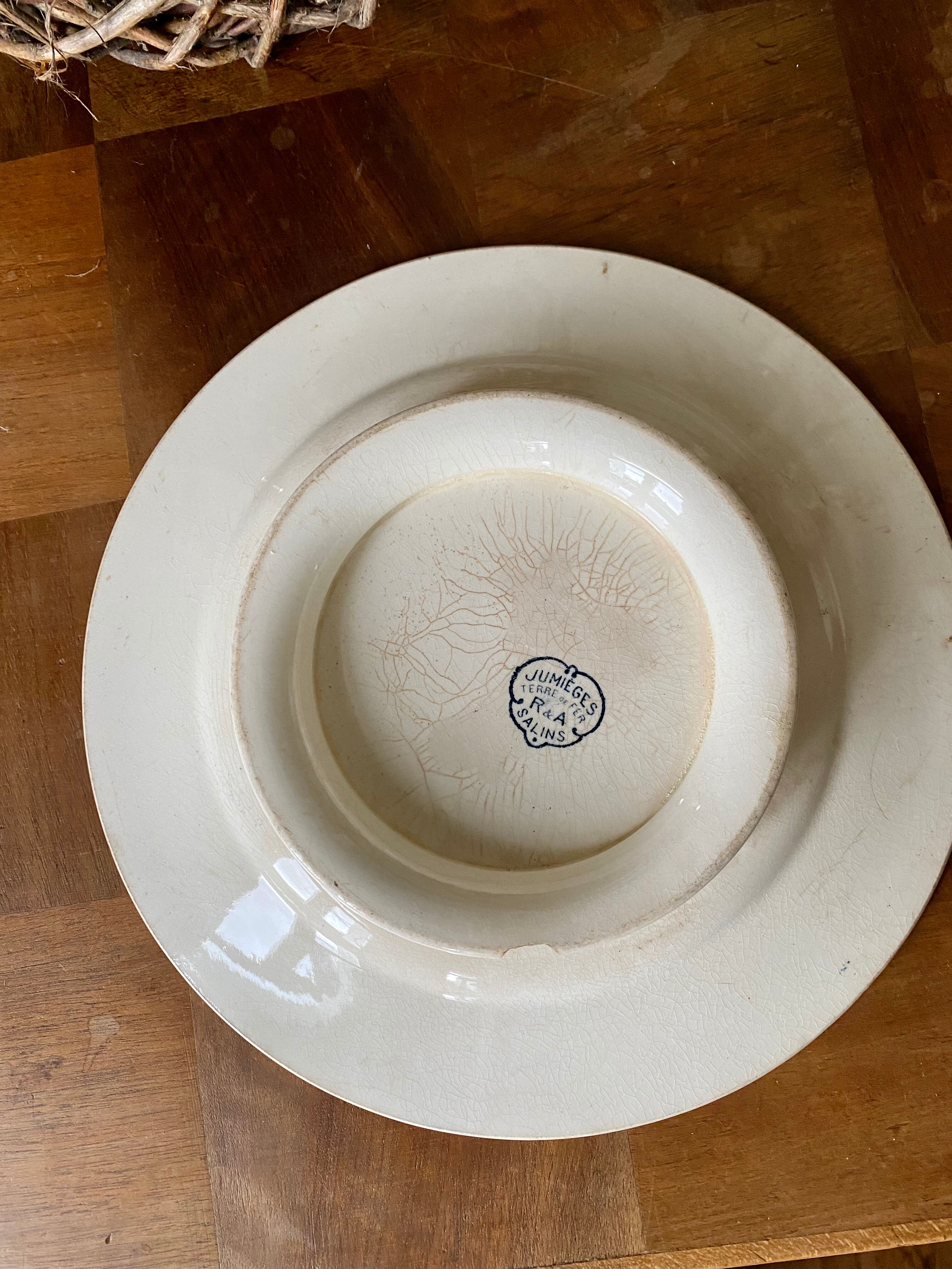 Old plate on iron earth in Salins earthenware