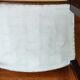 Pair of mahogany armchairs/palm décor/Restoration period