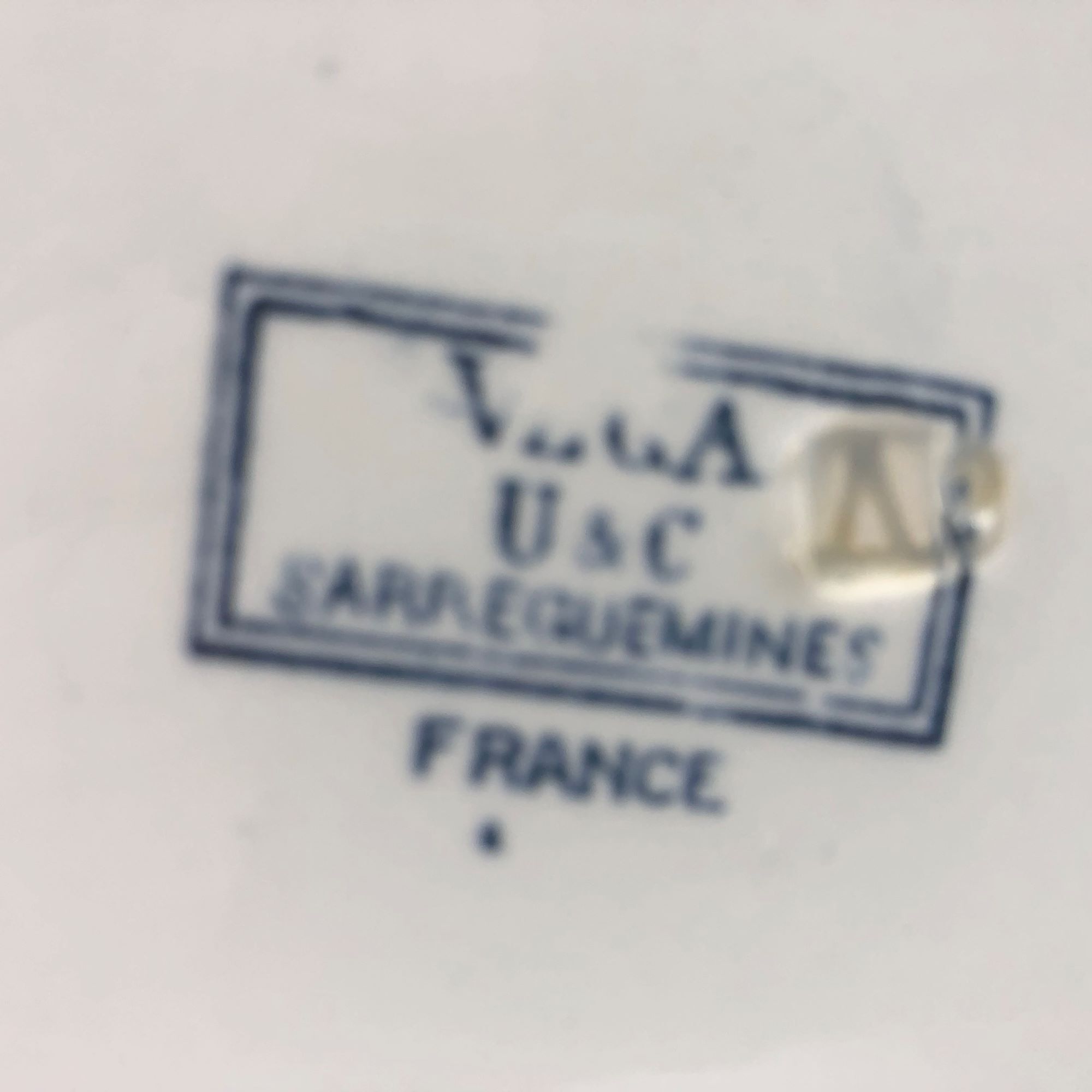 6 Dessert plates "Sarreguemines" Vega model