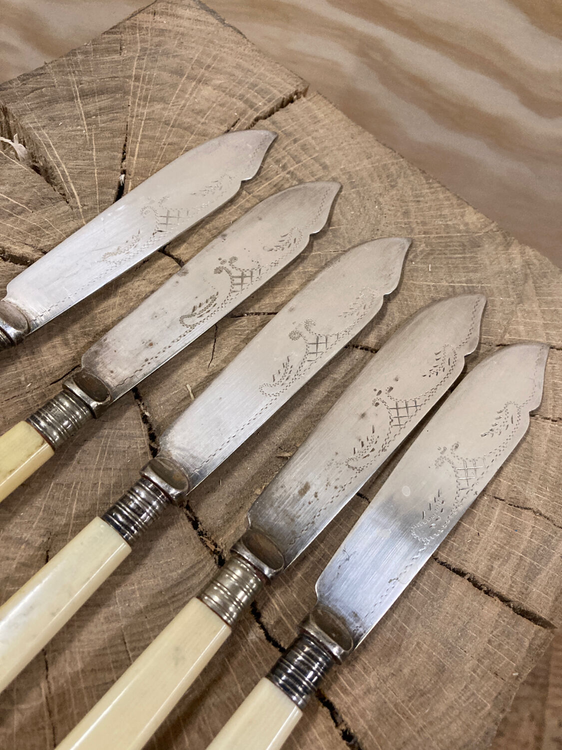 5 English fish knives in silver metal and Bakelite