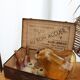 Old suitcase