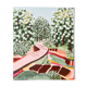 Secret Garden original