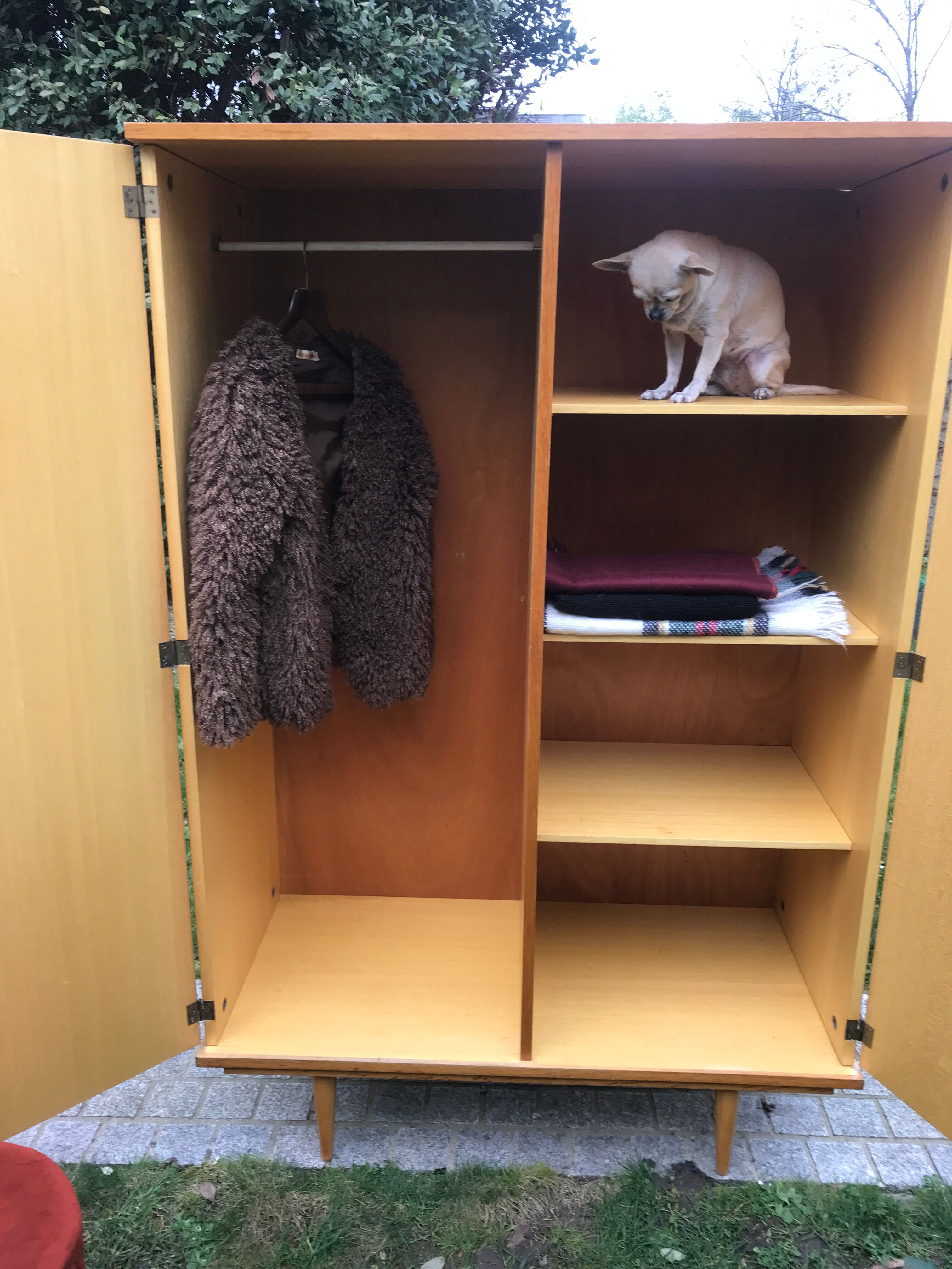 Wooden cabinet and vintage rattan 1950