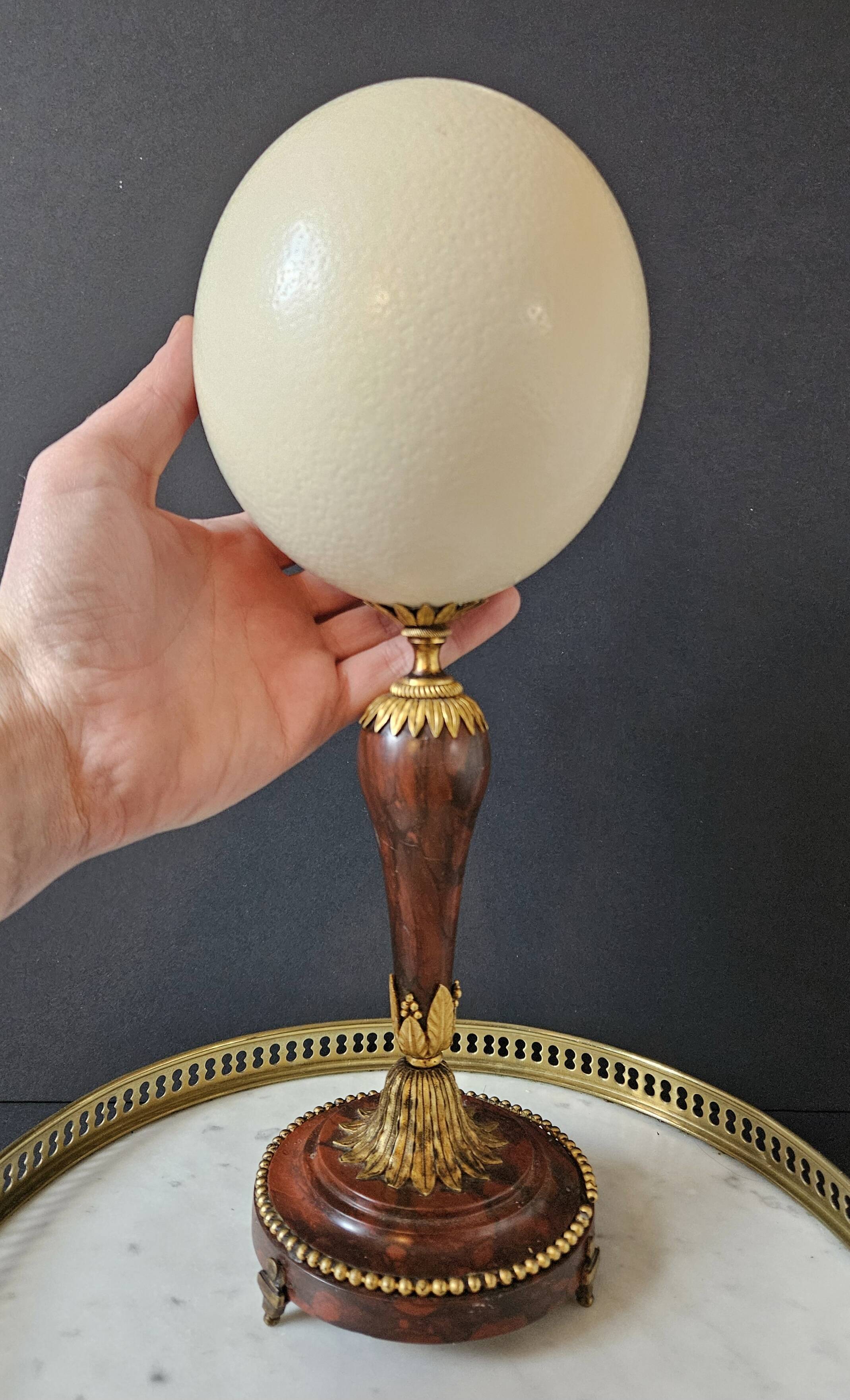 Ostrich Egg, Base in Brass and Brown Marble Empire Napoleon III H: 35cm