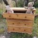 4-drawer pine chest of drawers