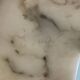 Bust, young woman, Marble and alabaster, G Pugi