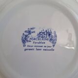 Vintage blue dinner plates