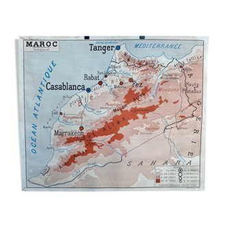 Affiche géographique - maroc - maghreb - rossignol