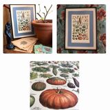 Original vintage board on vegetables