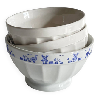 Set of 3 SATURNIA Italy Earthenware Bowls
