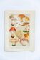 Illustration Vintage Botanique de Champignons, par E. Hochdanz, Stuttgart, Allemagne