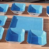 Asian set of platter and ten ramekins