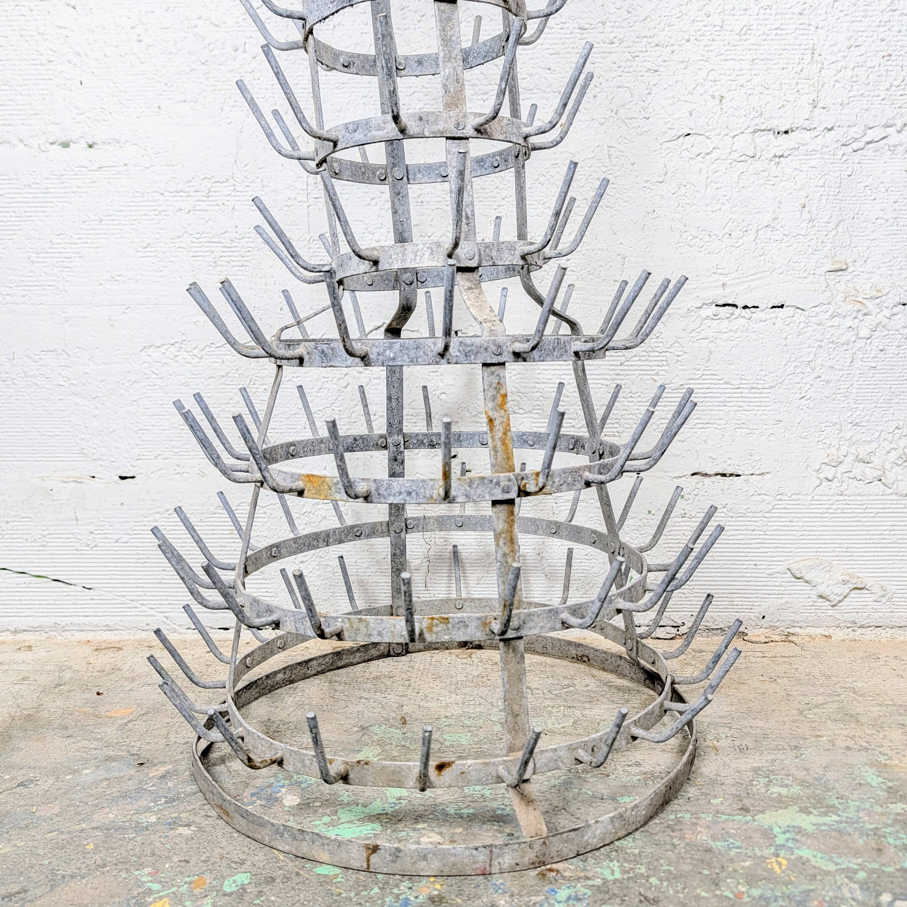 Hedgehog or bottle tree