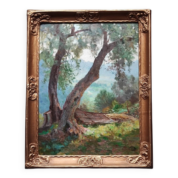 Tableau - paysage
