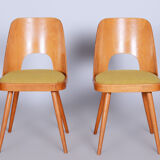 Ensemble de chaises en hêtre brun et jaune du milieu du siècle Oswald Haerdtl années 1950 Tchéquie